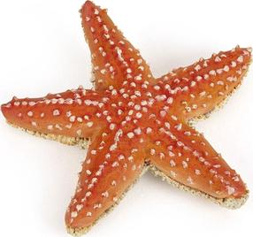 Rotaļlietu figūriņa Papo Starfish 442856, oranža krās.