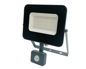 Prožektor liikumisanduriga, seinakinnitus Standart E024EI E024EIS, 30 W, 2550 lm, 4000 °K, IP65, hall v.