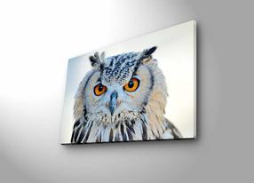 Reprodukcija Wallity 4570DHDACT-142, 45 cm