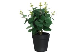 Mākslīgais augs podiņā, eikalipts 4Living, zaļa krās., 26 cm