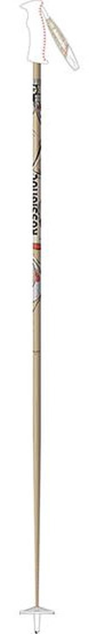 Slidinėjimo lazdos kalnų Rossignol Unique Carbon RDC5000, 105 cm