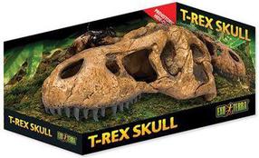 Akvārija dekorācija Exo Terra T-Rex Skull, brūna krās., 22 cm