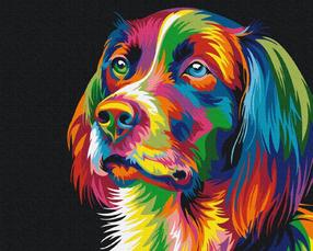 Tapymas pagal skaičius Paint it! Dog In Colors, įvairių spalvų