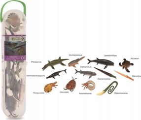 Rinkinys Collecta Prehistoric Marine Animals 004-A1104, 12 vnt., įvairių spalvų