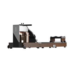 Airēšanas trenažieris Kingsmith WM10
