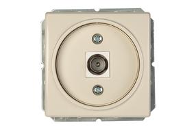 Antenos lizdas Vilma ST150, dramblio kaulo sp.
