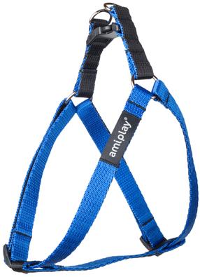 Petnešos šunims Amiplay Twist, mėlyna sp., 400 - 750 mm x 20 mm, 40-75