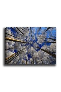 Reprodukcija Wallity 7, 100 cm x 70 cm