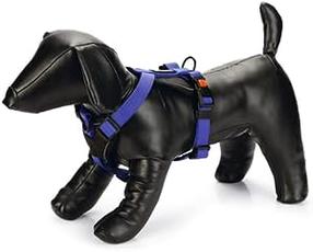 Petnešos šunims Beeztees Harness, mėlyna sp., 380 - 480 mm x 20 mm, 38-48