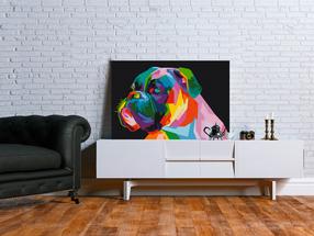 Tapymas pagal skaičius Artgeist Colourful Boxer MA_0317, įvairių spalvų, 60 x 40 cm