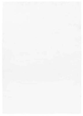 Kilimas vidaus Ayyildiz Pouffy POUFFY1602305100WHITE, balta sp., 230 cm x 160 cm