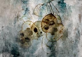 Fototapetas Artgeist Nature And Lunaria, 105 cm x 105 cm
