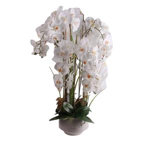 Mākslīgie ziedi puķu podā, orhideja Home4you Garden Queen, balta krās., 102 cm