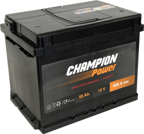 Akumuliatorius Champion Power, 12 V, 55 Ah, 450 A