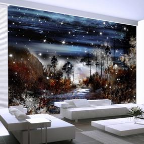Fototapetas Artgeist Night in the forest, 70 cm x 98 cm