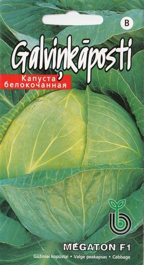 Sēklas Kurzemes sēklas, kāposti MEGATON F1, 0.1 g