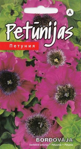 Sēklas Kurzemes sēklas petūnijas Bordovaja Seeds, 3 g