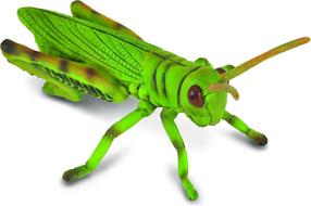 Фигурка-игрушка Collecta Grasshopper 88352, зеленый цв.
