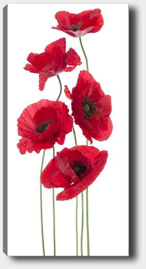 Reprodukcija Wallity, 451ern1869, 120 cm x 50 cm