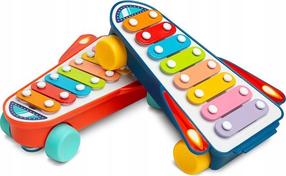 Bērnu ksilofons Toyz Rainbow