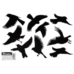Kleebis Bradas Scare, 27.8 cm x 19.3 cm, must v.