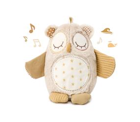 Projektorius - migdukas kūdikiams Cloud B Nighty Night Owl, ruda sp.