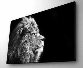 Foto paveikslas Wallity 4570DHDACT-058, 70 cm x 45 cm
