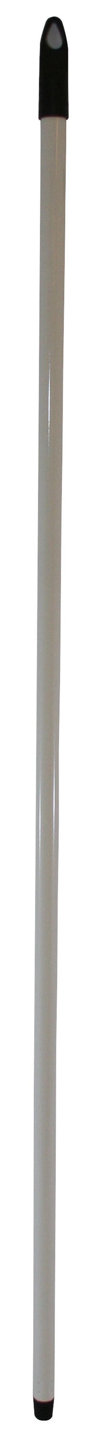 Šluotos kotas Cavallo