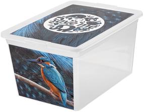 Daiktadėžė su dangčiu, žaislams Branq X Box Deco Kingfisher, 15 l, skaidri sp./įvairių spalvų, 38.5 x 28.5 x 20 cm