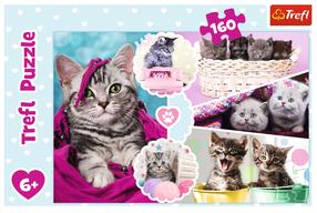 Dėlionė Trefl Cute cats, 160 vnt.