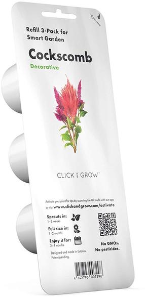 Išmanios daigyklos sėklos Click & Grow, celiozija, 40 g, 3 vnt.