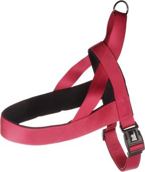 Petnešos šunims Flamingo Noors Abbi, vyšnios sp., 750 - 1000 mm x 32 mm, XXL