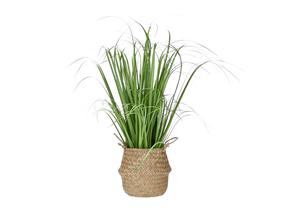 Mākslīgais augs podiņā Domoletti, zaļa krās., 60 cm
