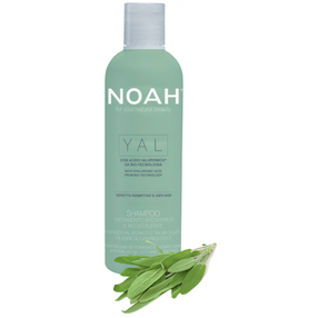 Šampoon Noah YAL Hydrating And Restorative Treatment, 250 ml