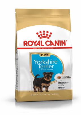 Сухой корм для собак Royal Canin Terrier Junior, курица, 1.5 кг