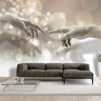 Fototapetas Artgeist Sensitive Touch, 245 cm x 350 cm