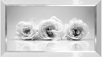 Foto paveikslas Roses, 113 cm x 63 cm