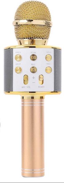 Vaikiškas mikrofonas RoGer Karaoke Speaker