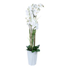 Mākslīgie ziedi puķu podā, orhideja Home4you Garden Queen, balta krās., 132 cm