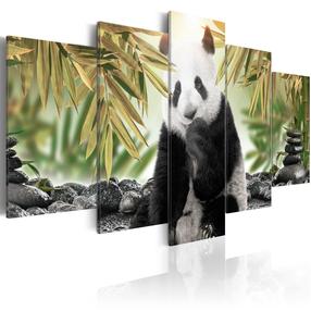 Reproduktsioon Artgeist Cute Panda Bear N4044-DKX, 200 cm x 100 cm
