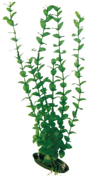 Akvārija dekorācija Croci Rotala MD, zaļa krās.