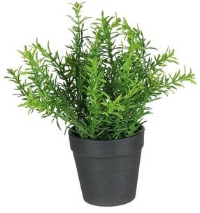 Dirbtinis augalas vazone, vaistažolės Splendid Herbs 3, žalia sp., 22 cm x 15 cm