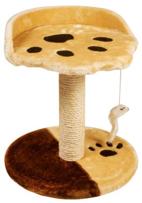 Namelis katei Record Scratching Zampa, šviesiai ruda