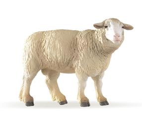 Žaislinė figūrėlė Papo Merinos Sheep 51041, 7.7 cm, balta sp.
