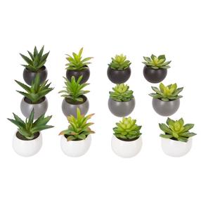 Dirbtinis augalas vazone, sukulentas Atmosphera, balta/žalia/(spalva/dizainas parenkami atsitiktine tvarka), 6 cm x 6 cm