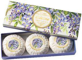 Muilų rinkinys Fiorentino Wisteria, 300 g, 3 vnt.