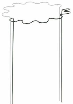 Augalo atrama Bradas TYRP4F40115, 40 cm, 115 cm, metalas, juoda sp.