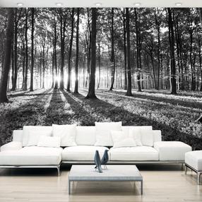 Fototapeet Artgeist Grey Wilderness 3XLFT1019SAM, 70 cm x 98 cm