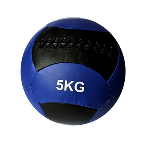 Pildbumba Thoms Wall Ball, 350 mm, 5 kg