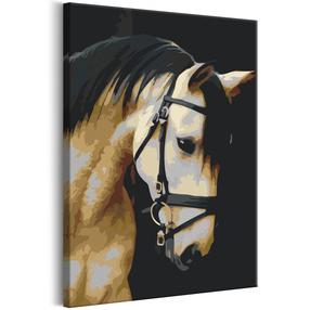 Tapymas pagal skaičius Artgeist Horse Portrait MA_0434, 40 x 60 cm
